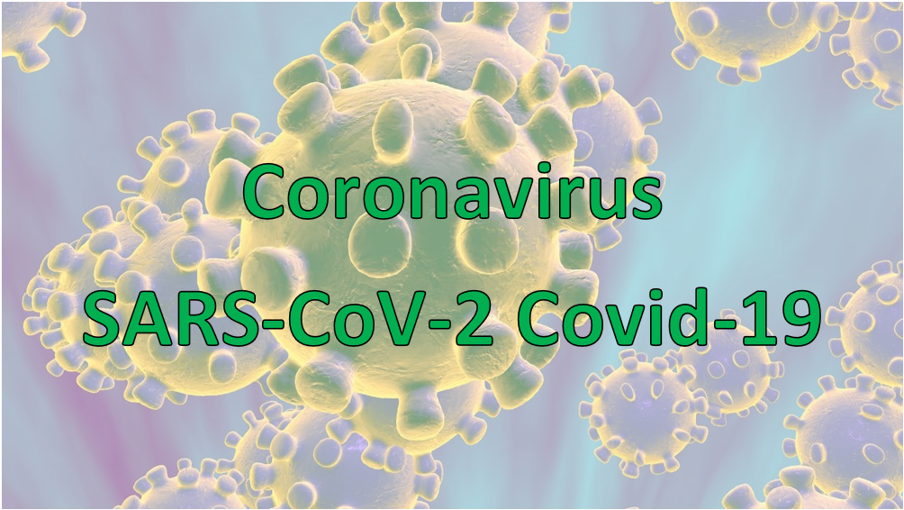 Coronavirus SARS-CoV-2 Covid-19