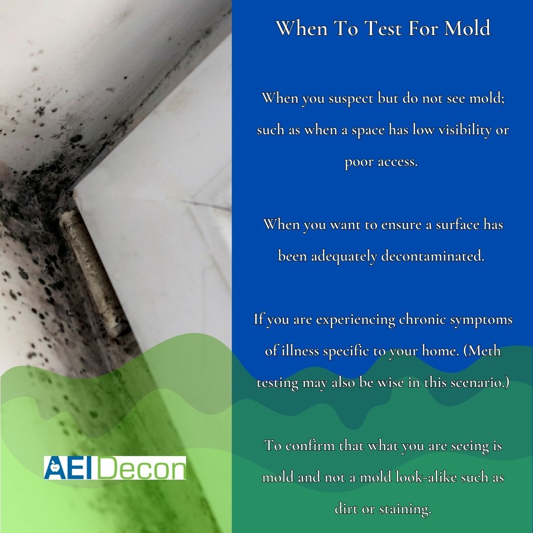 When to test for mold
